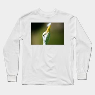 Close up of a Great egret Long Sleeve T-Shirt